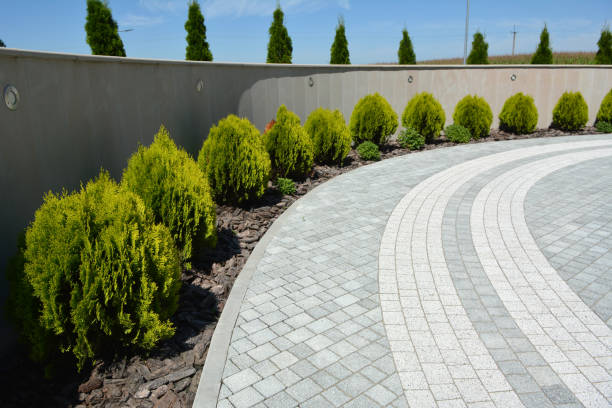 Best Driveway Paver Repairs and Restoration in Red Hill, SC